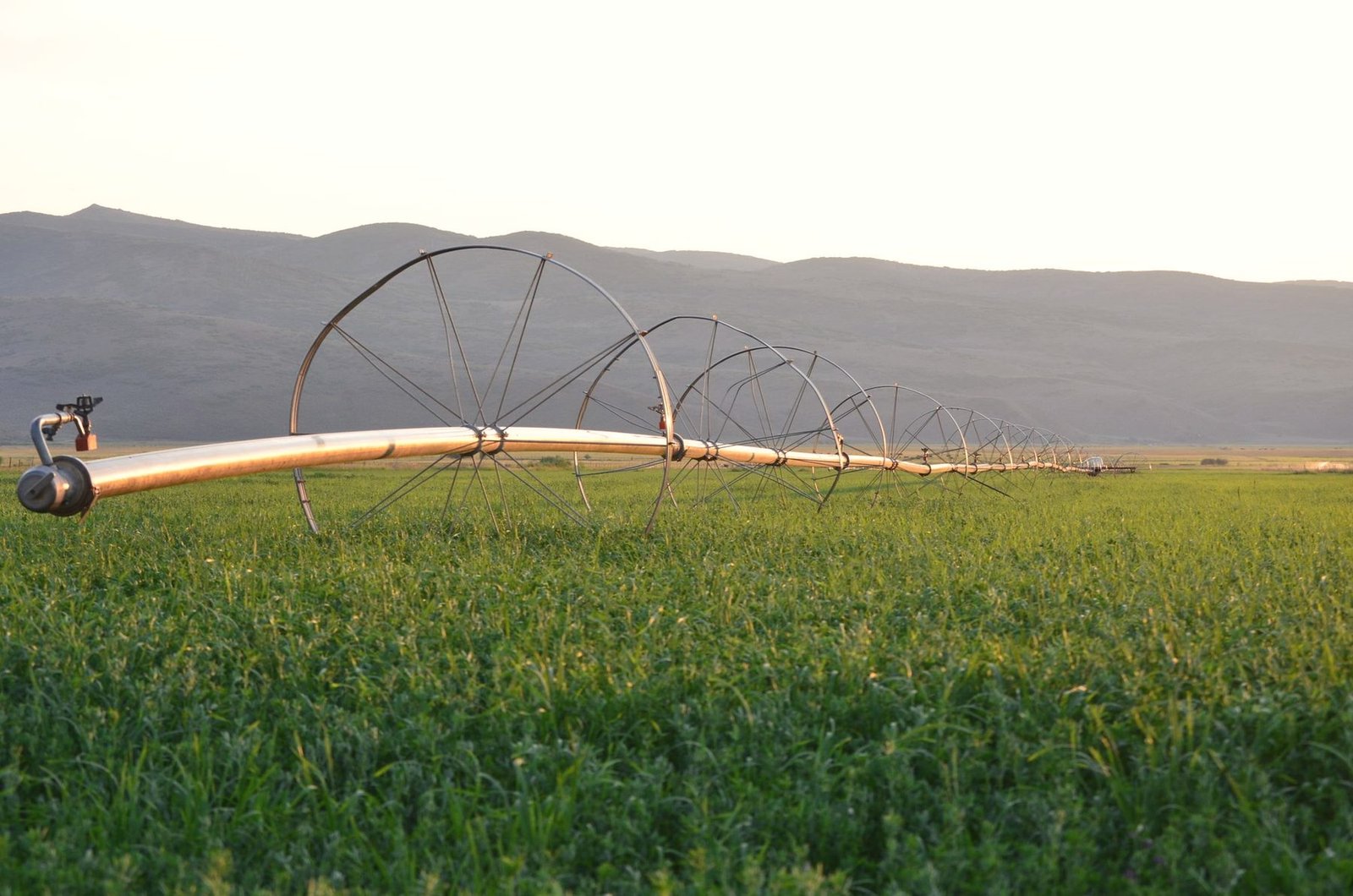 Irrigation pivot line running across a crop field with a dry hill behind.