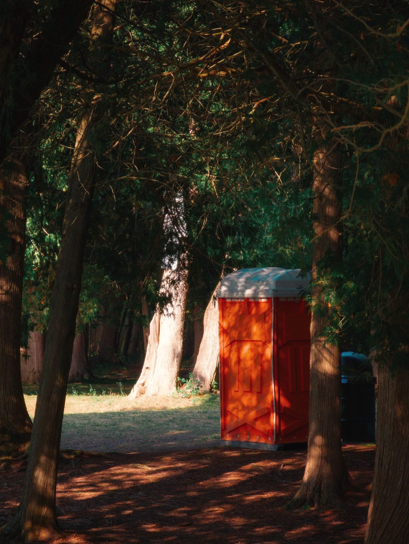 Single orange portable restroom unit standing in tree shade.