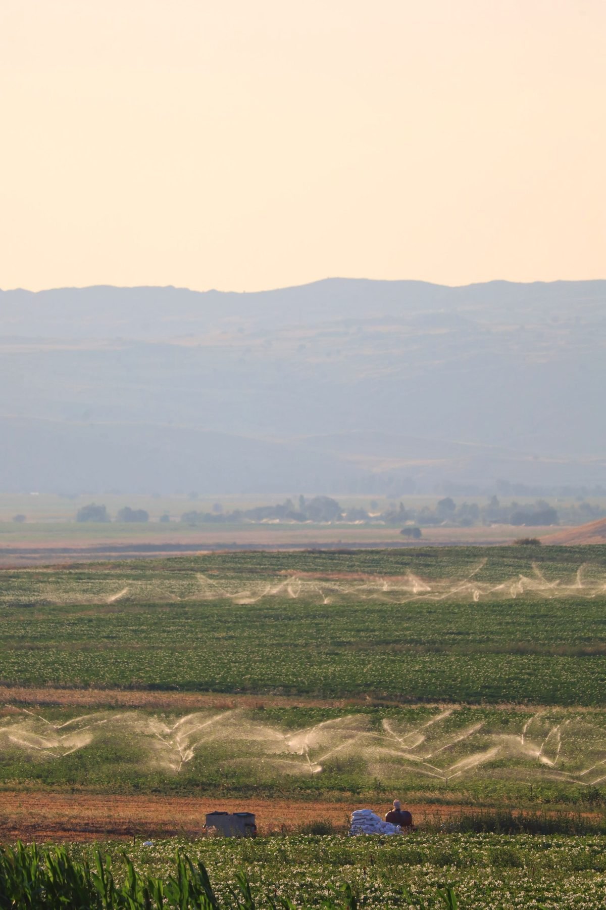 Flat farmland under hazy light with low hills on the horizon.